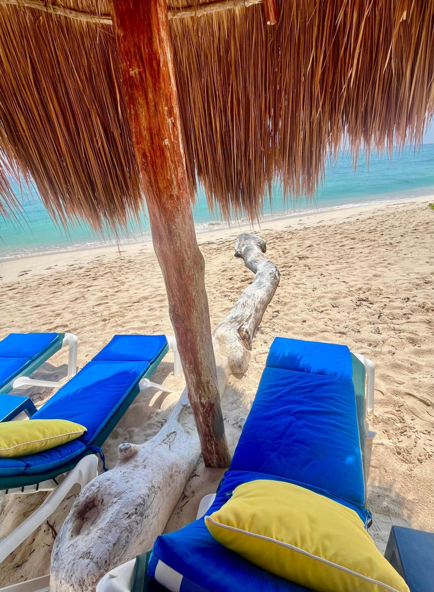 Beachfront Hammock Heaven Akumal Extérieur photo
